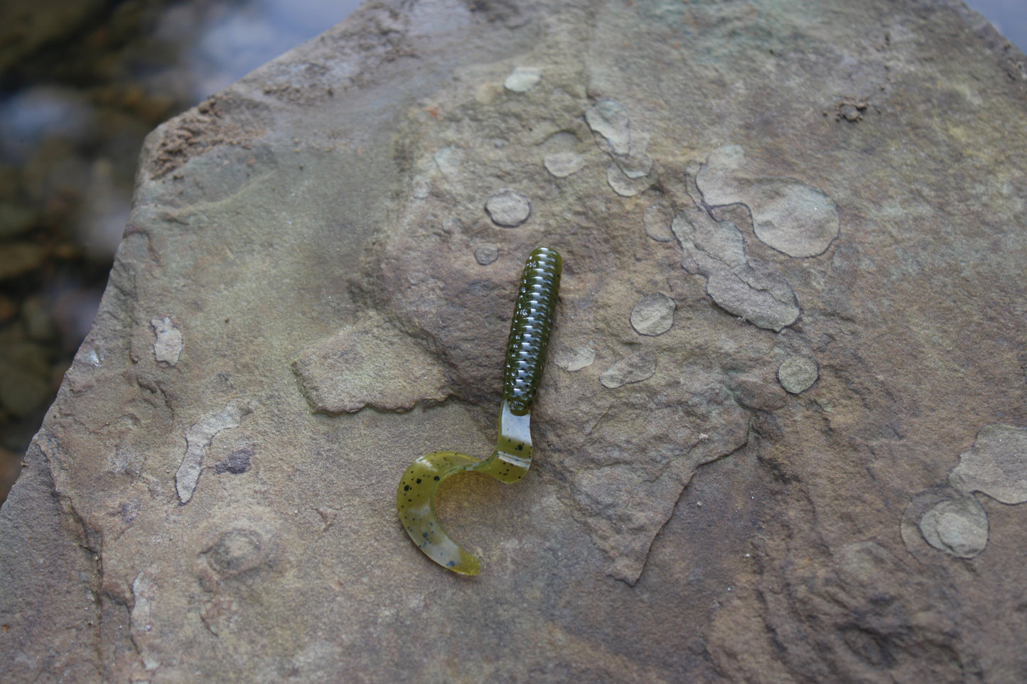 3" Grub (Pack of 10)