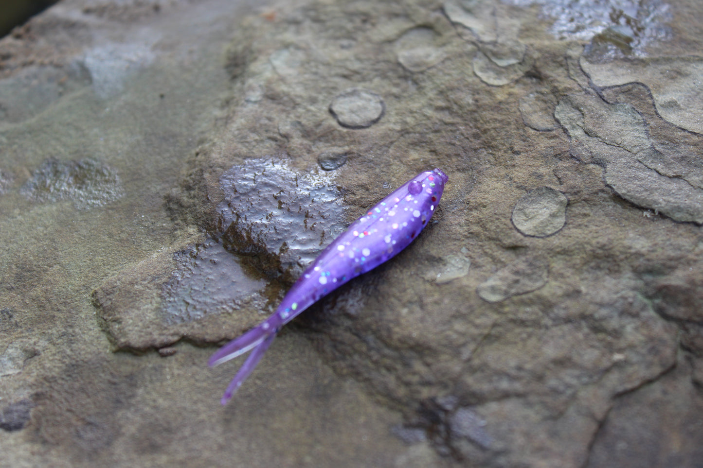 2" Fluke (Pack of 10)