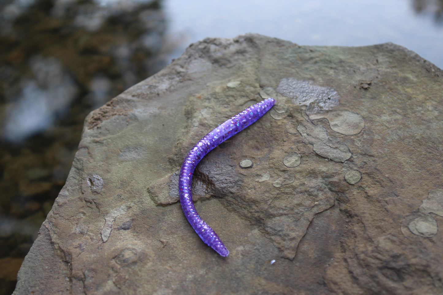 4.75" Finesse Worm (Pack of 8)