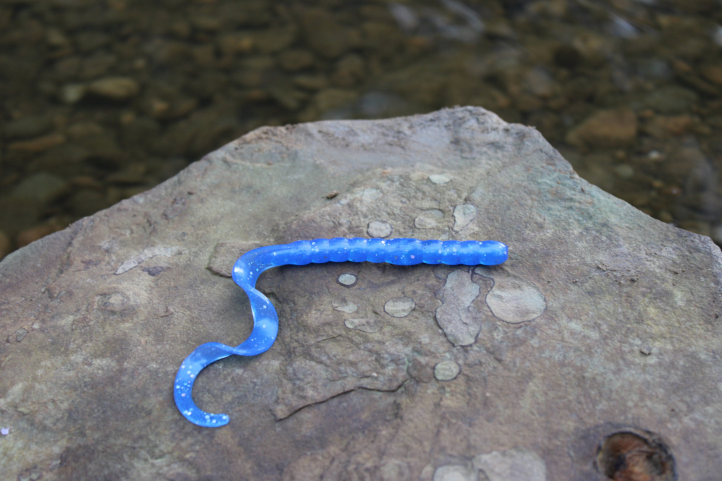 7.5" Legend Worm (Pack of 6)