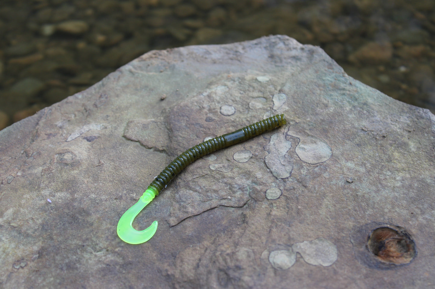 4.5" Curly Tail (Pack of 8)