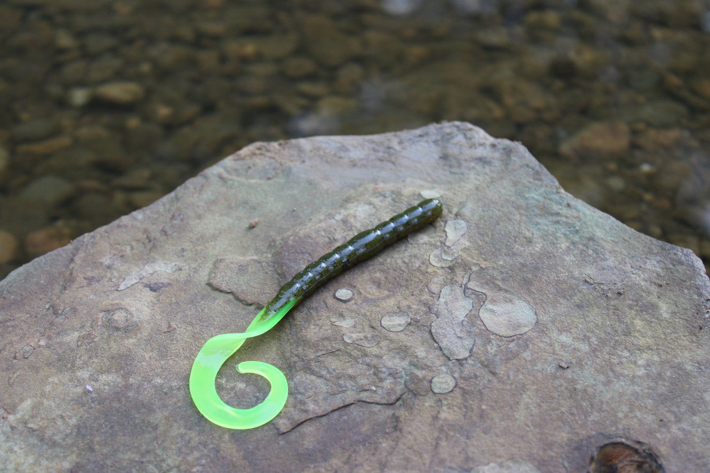 7.5" Legend Worm (Pack of 6)