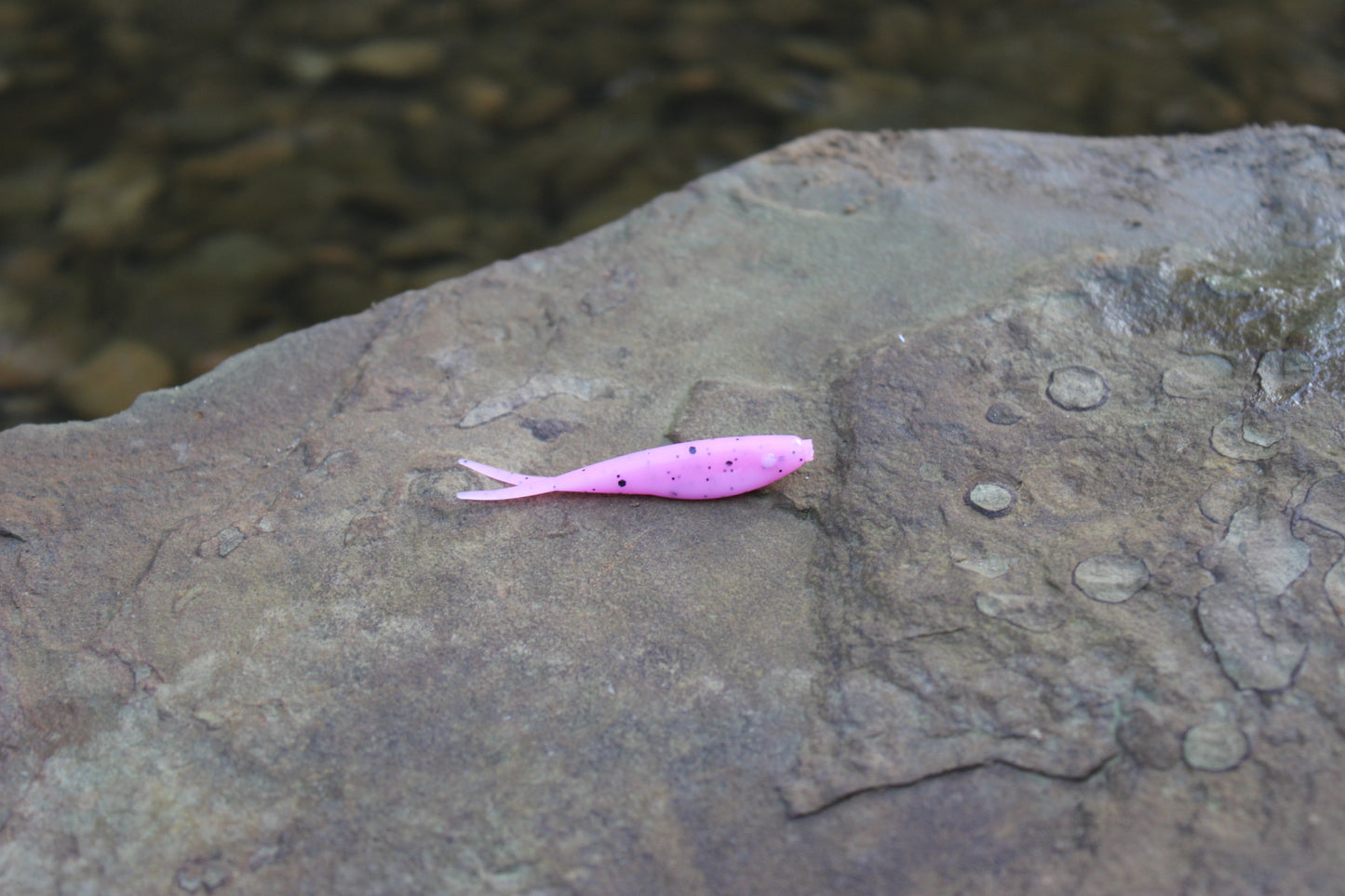 2" Fluke (Pack of 10)