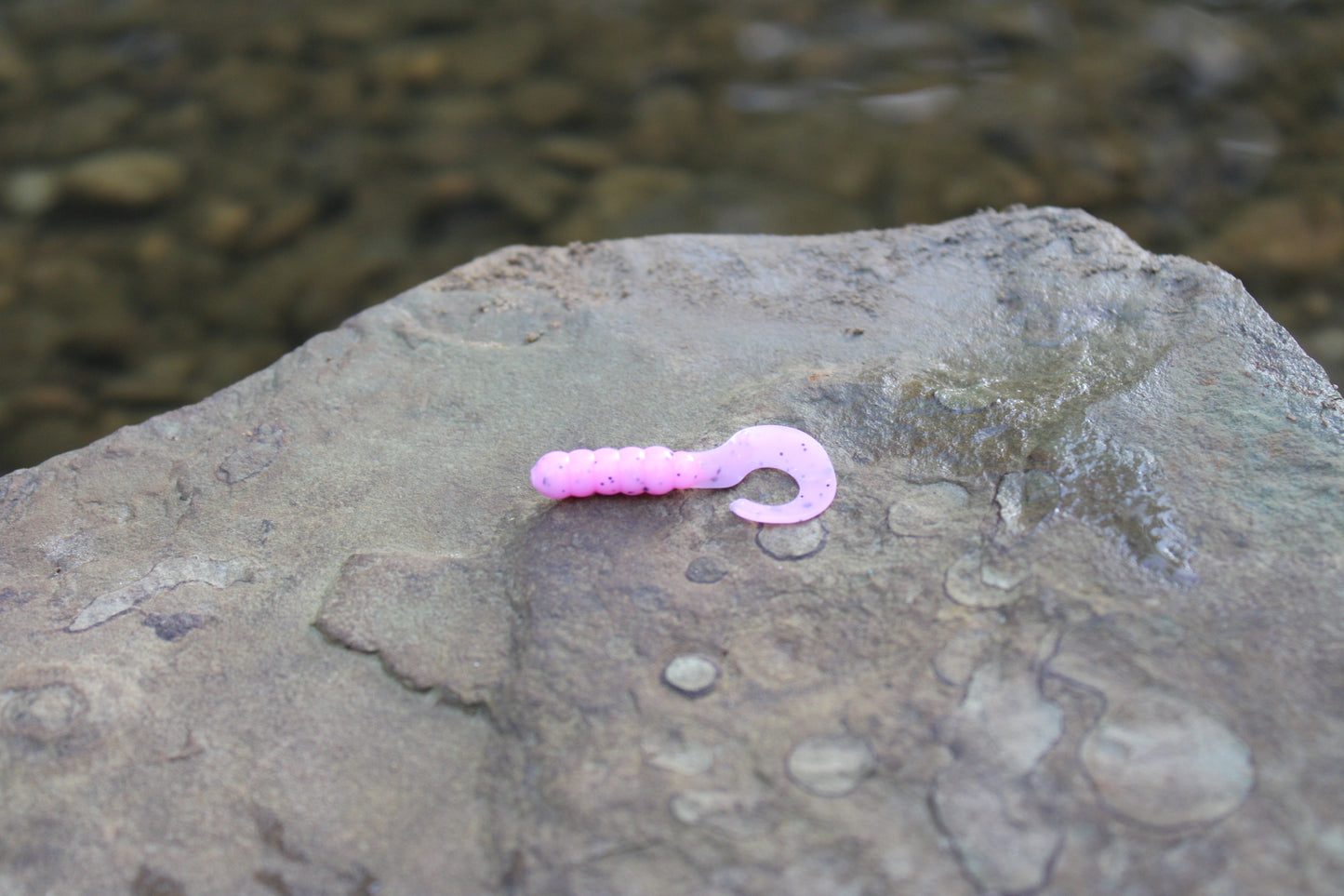 1" Grub (Pack of 10)