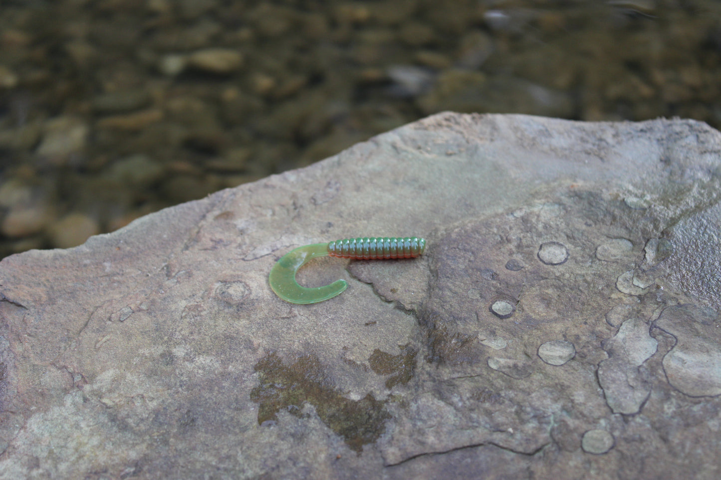 2" Grub (Pack of 10)