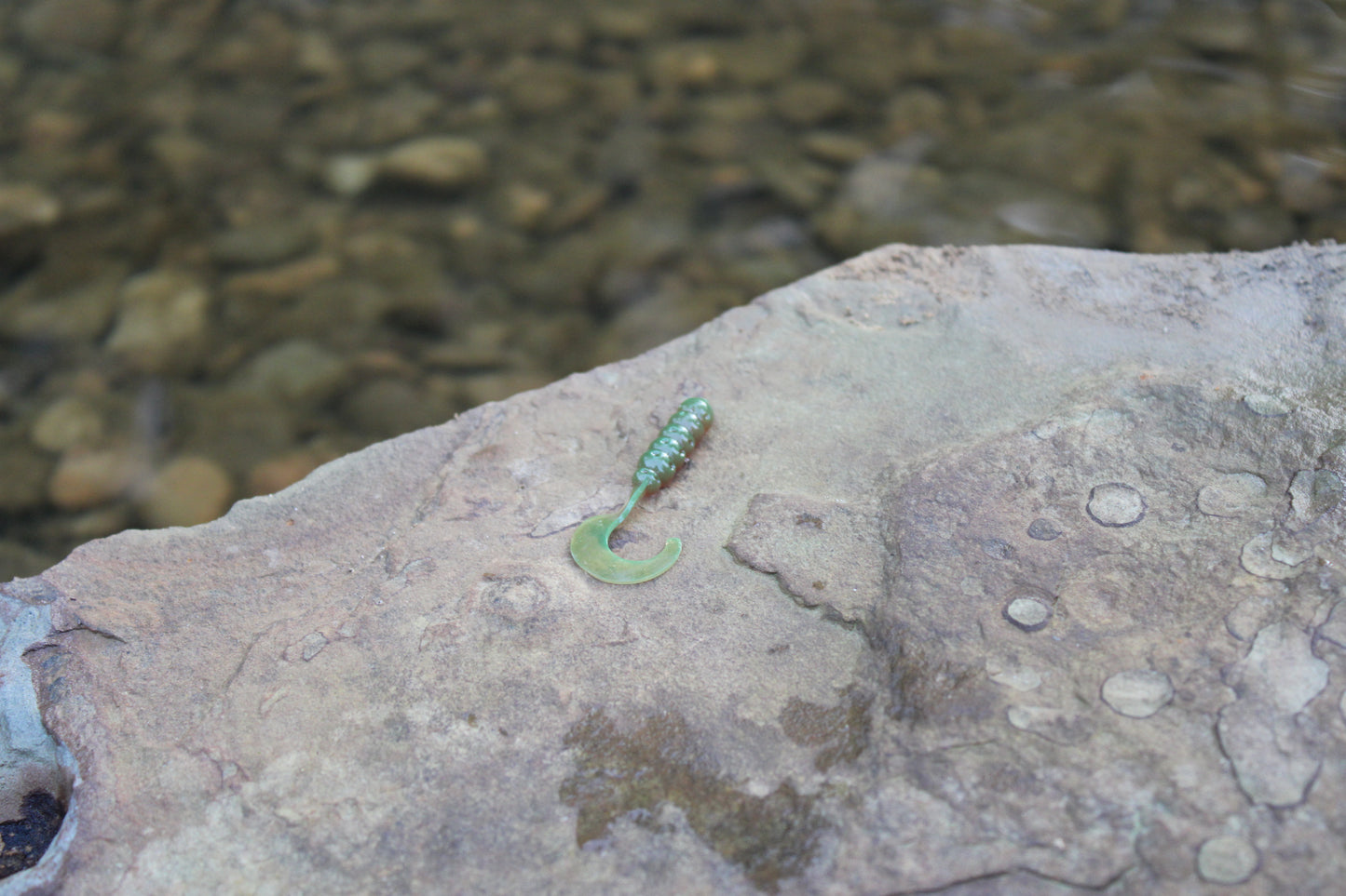 1" Grub (Pack of 10)