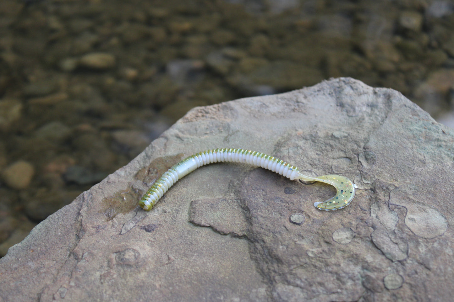 4.5" Curly Tail (Pack of 8)