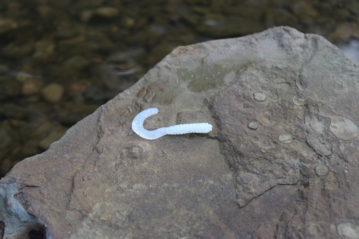 2" Grub (Pack of 10)