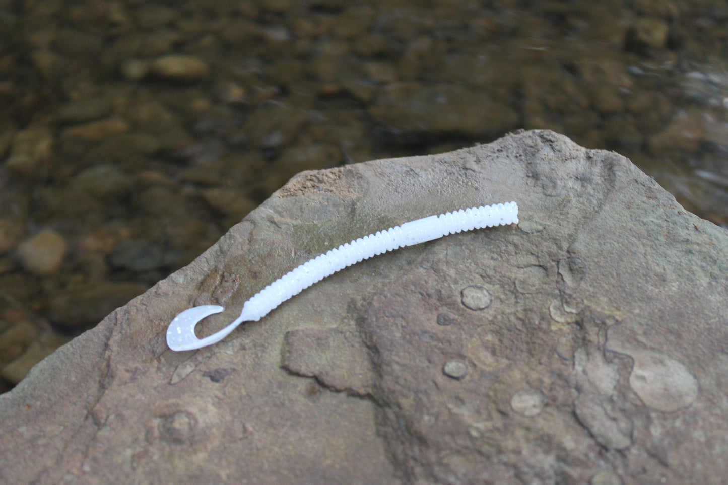 4.5" Curly Tail (Pack of 8)