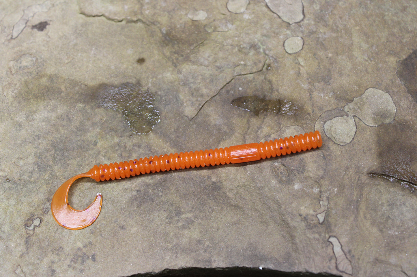 4.5" Curly Tail (Pack of 8)