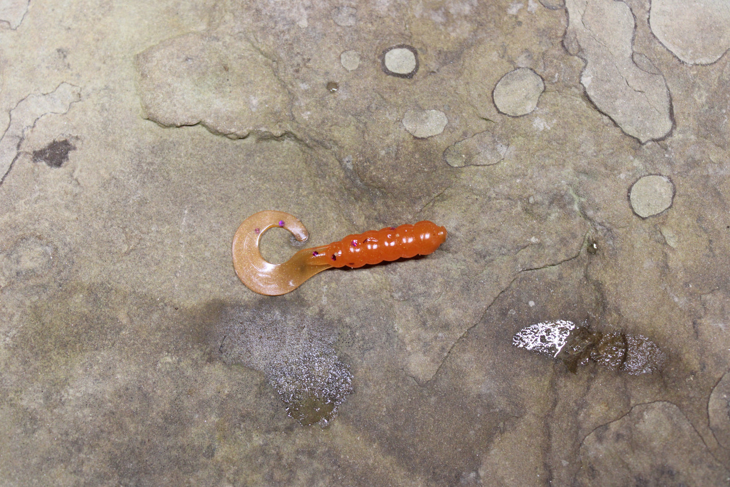 1" Grub (Pack of 10)