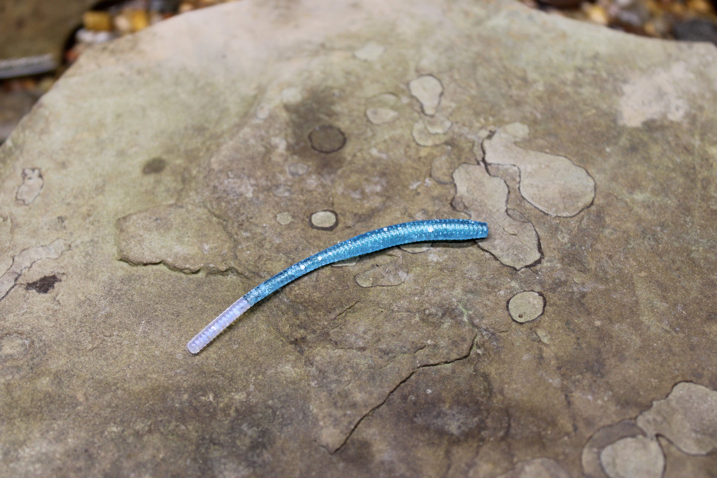 Trout Worm (Pack of 12)