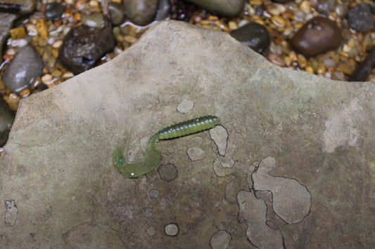 2" Grub (Pack of 10)