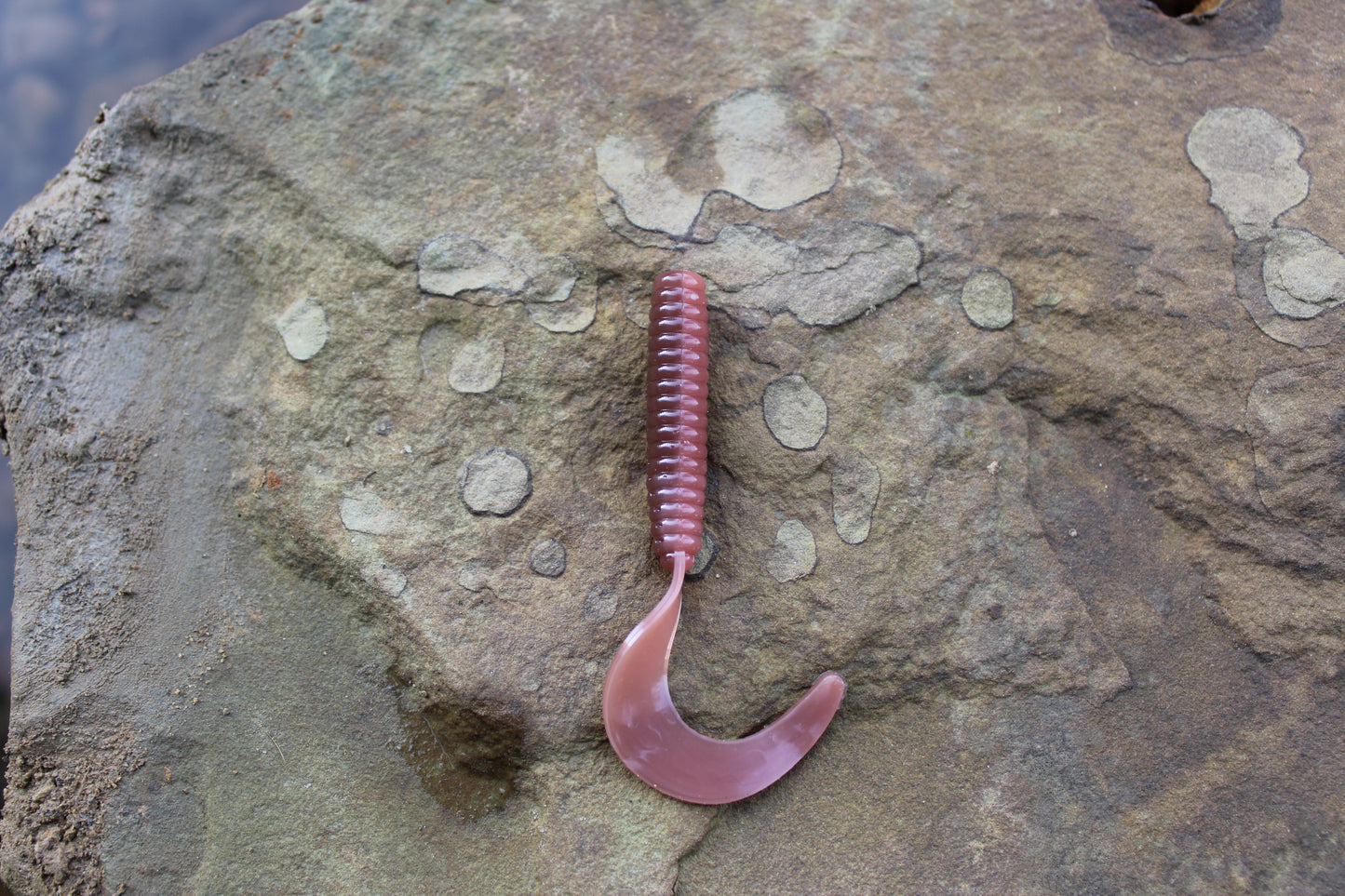 3" Grub (Pack of 10)