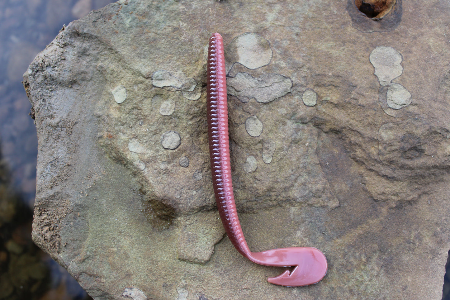 7" Assault Worm (Pack of 4)