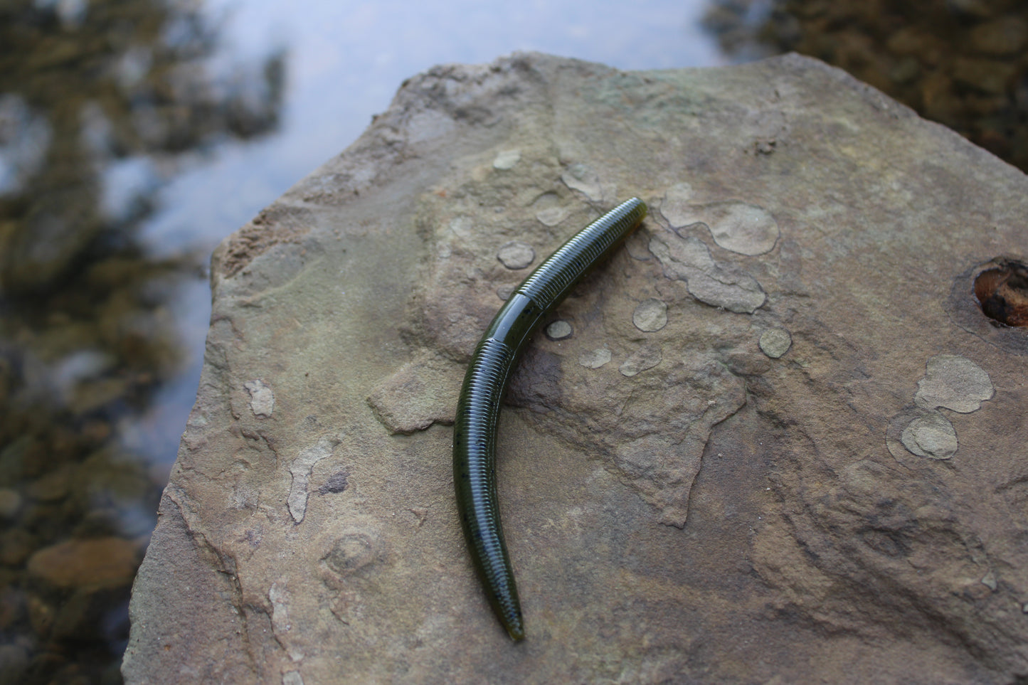 5" Senko Stick Bait (Pack of 8)