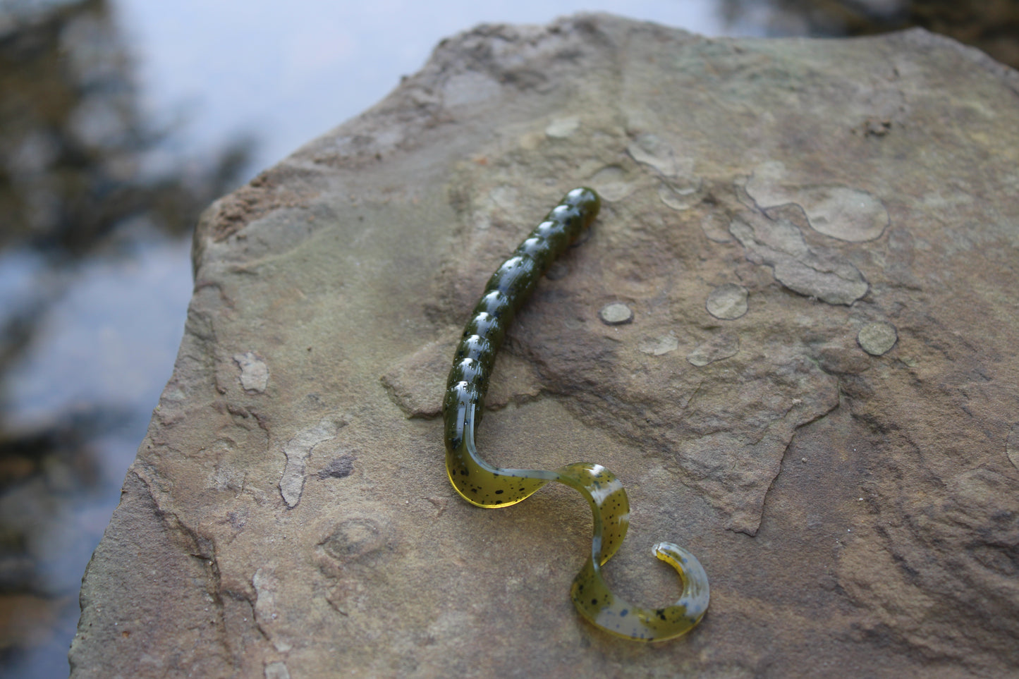 7.5" Legend Worm (Pack of 6)