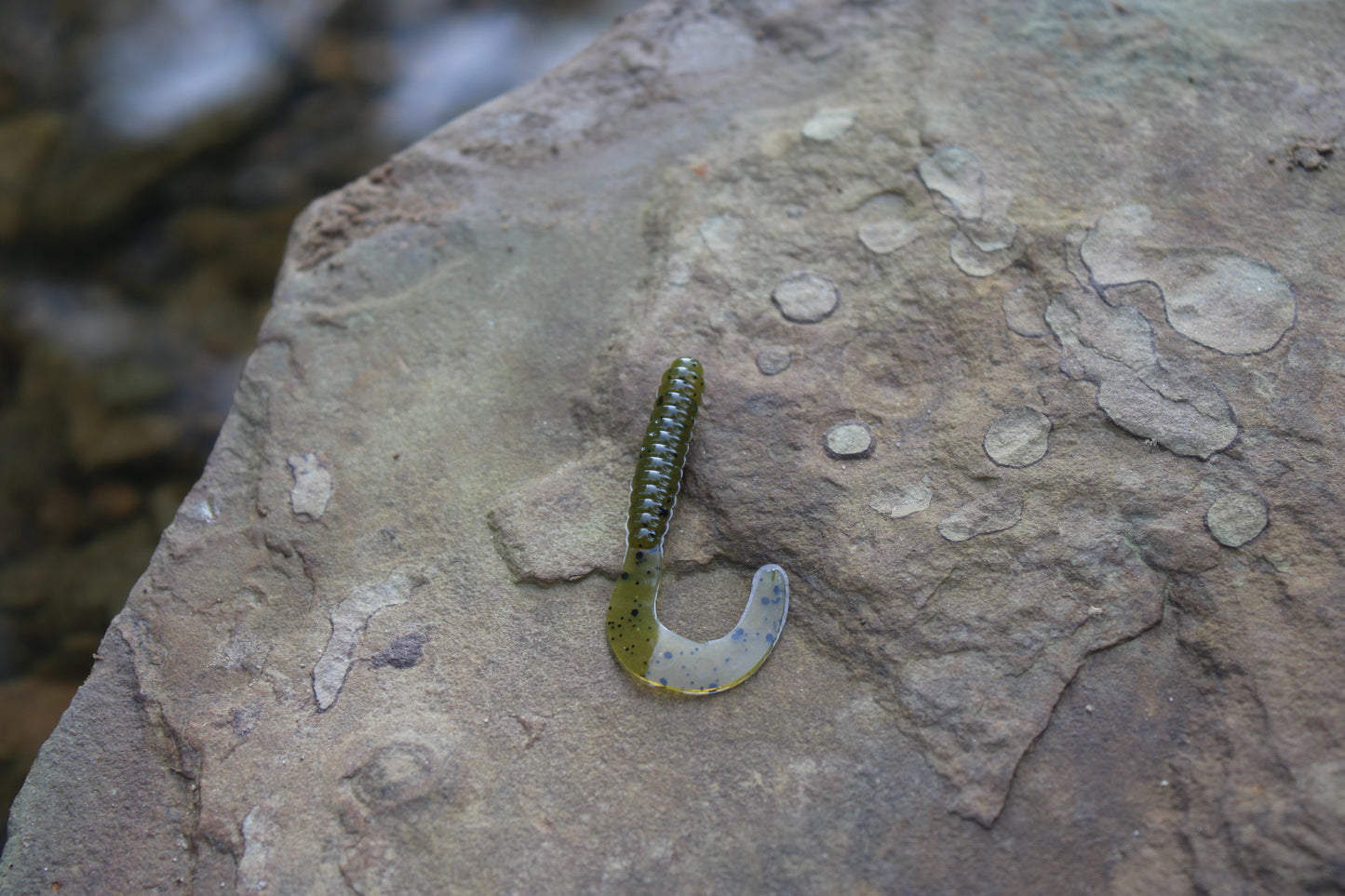 2" Grub (Pack of 10)