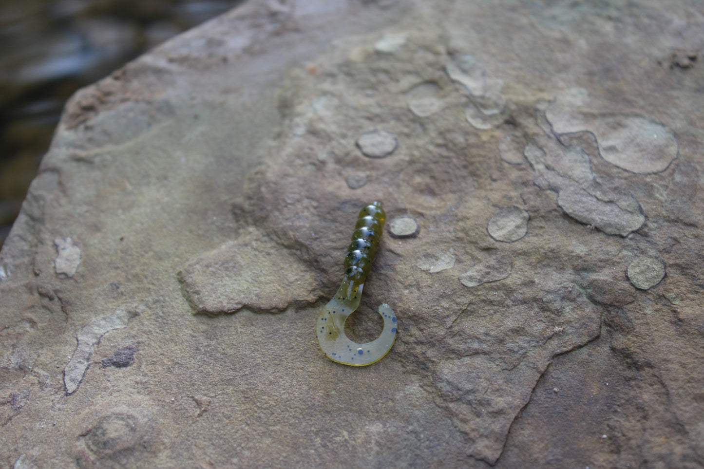 1" Grub (Pack of 10)