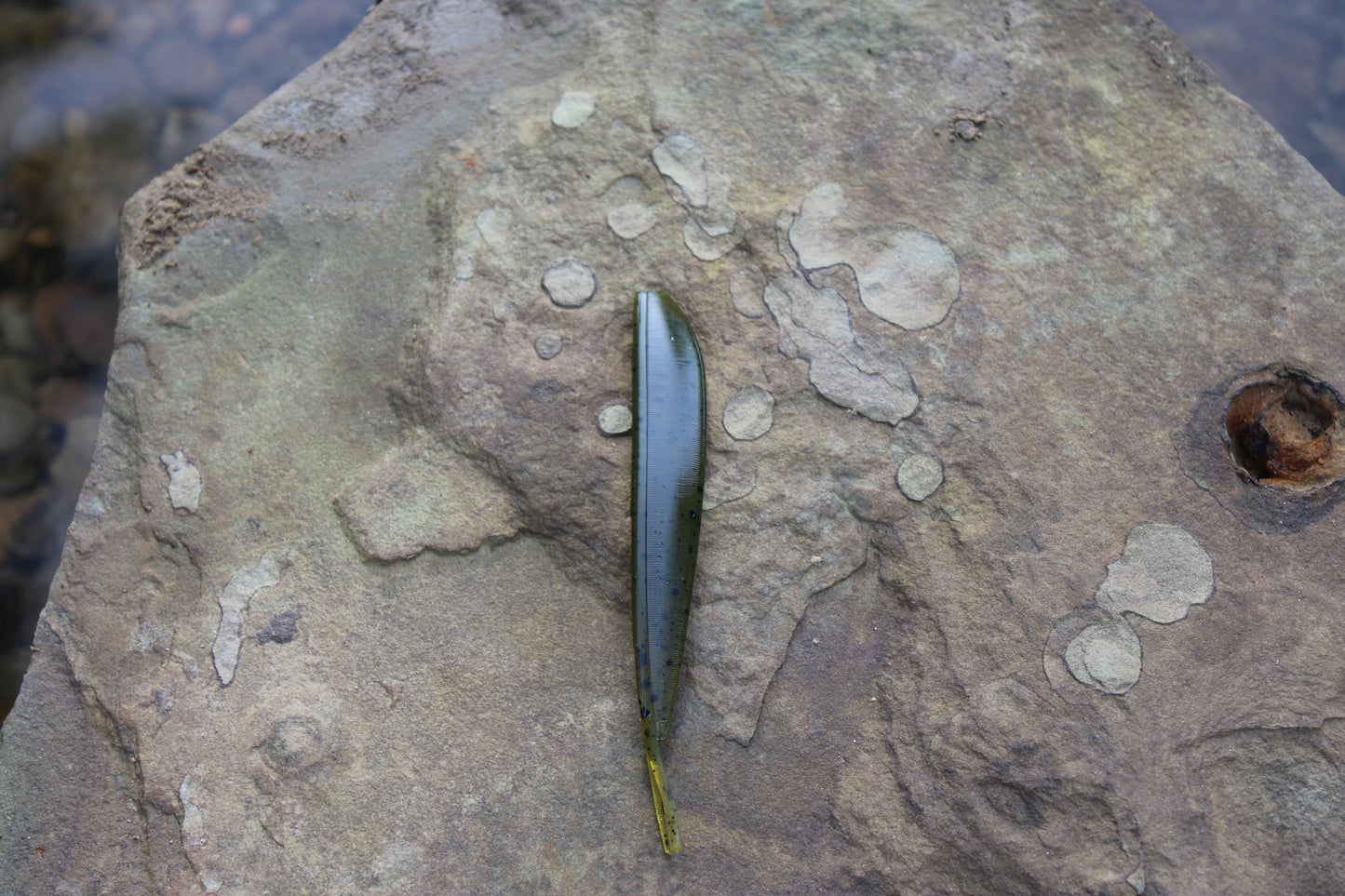 4" Fluke (Pack of 8)