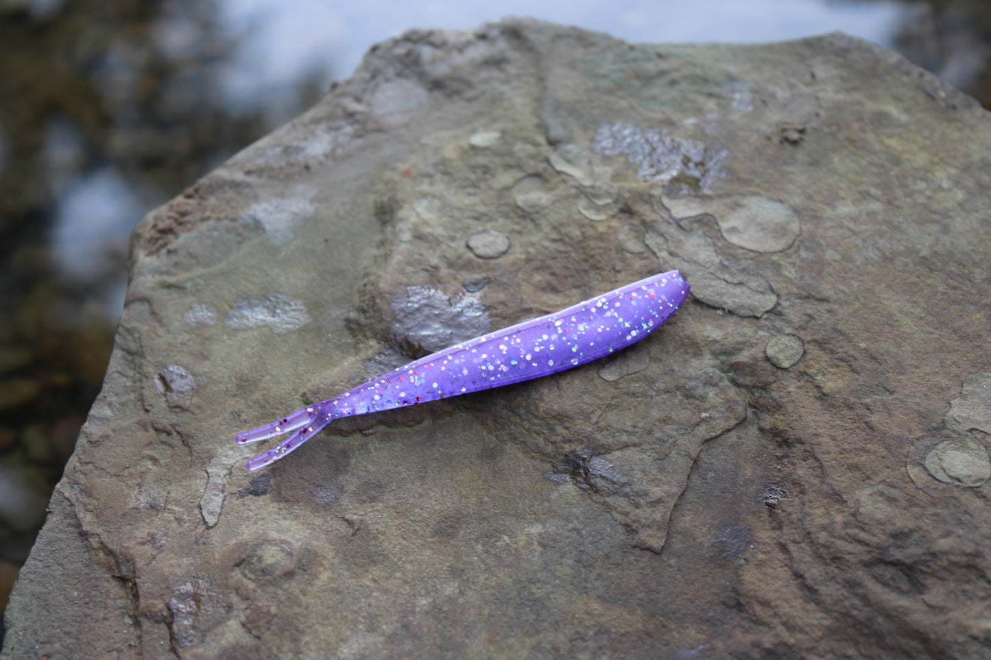 4" Fluke (Pack of 8)
