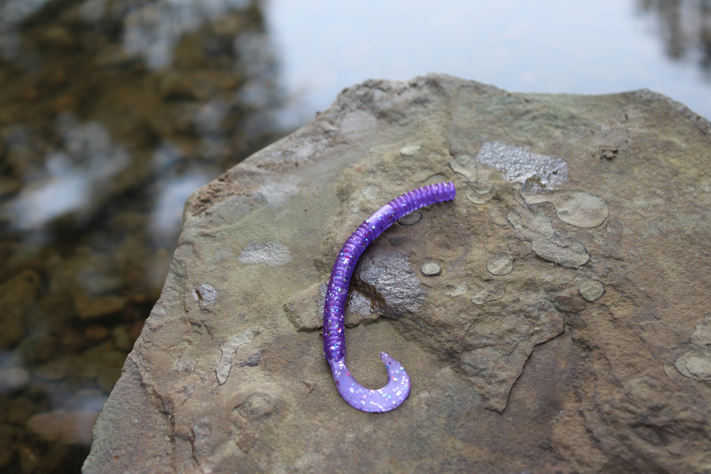 4.5" Curly Tail (Pack of 8)