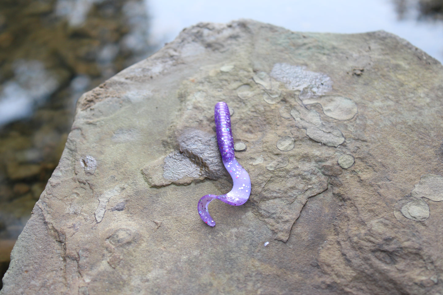 3" Grub (Pack of 10)