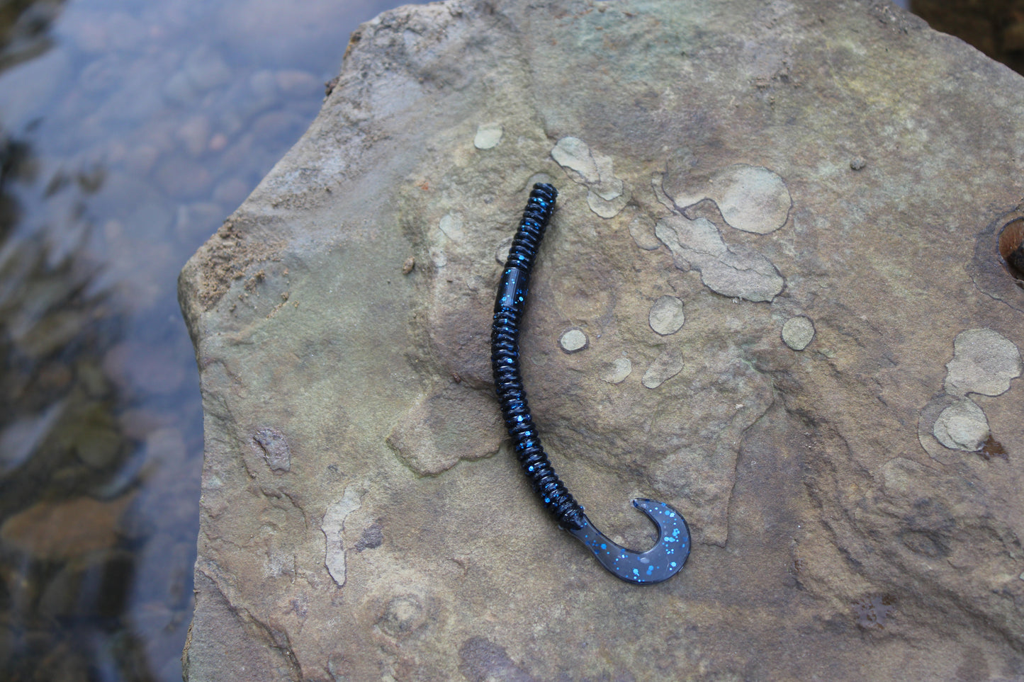 4.5" Curly Tail (Pack of 8)