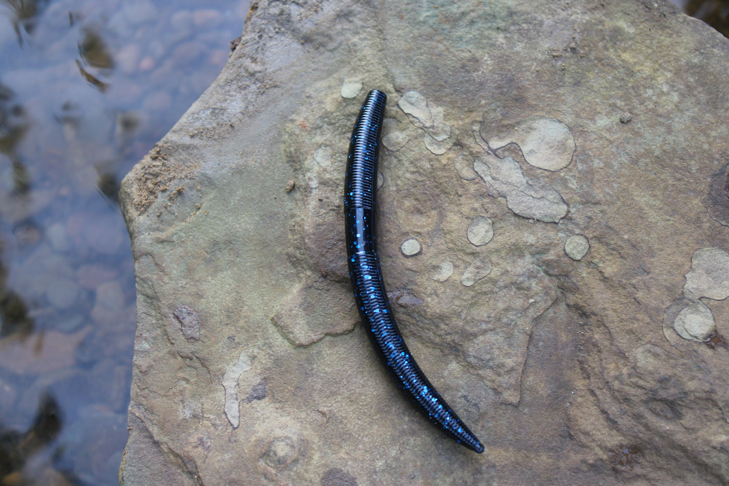 5" Senko Stick Bait (Pack of 8)