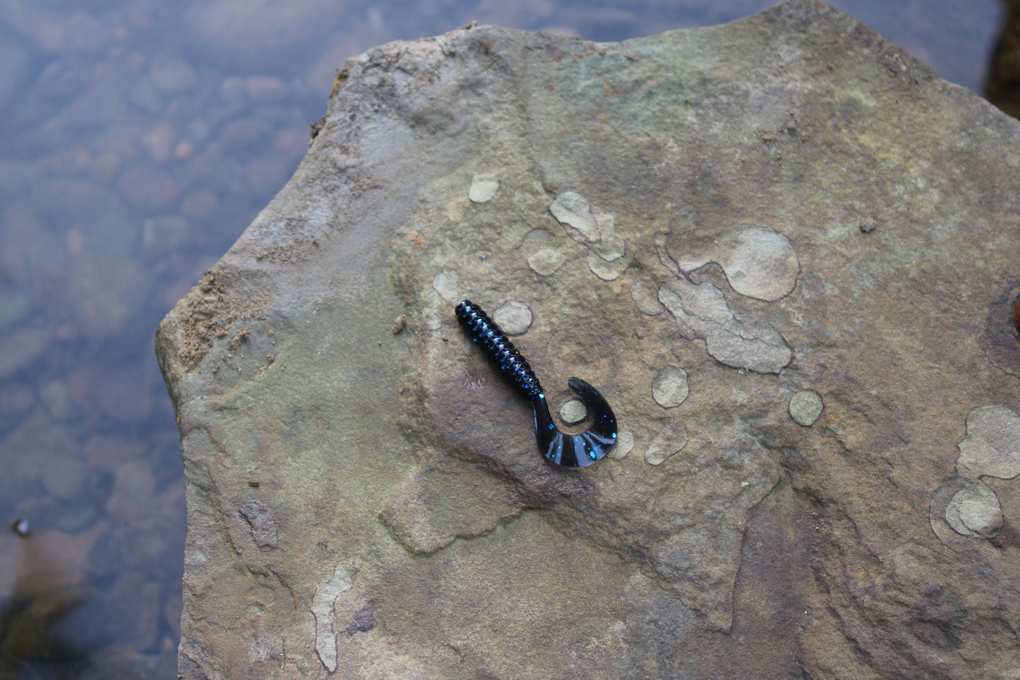 2" Grub (Pack of 10)