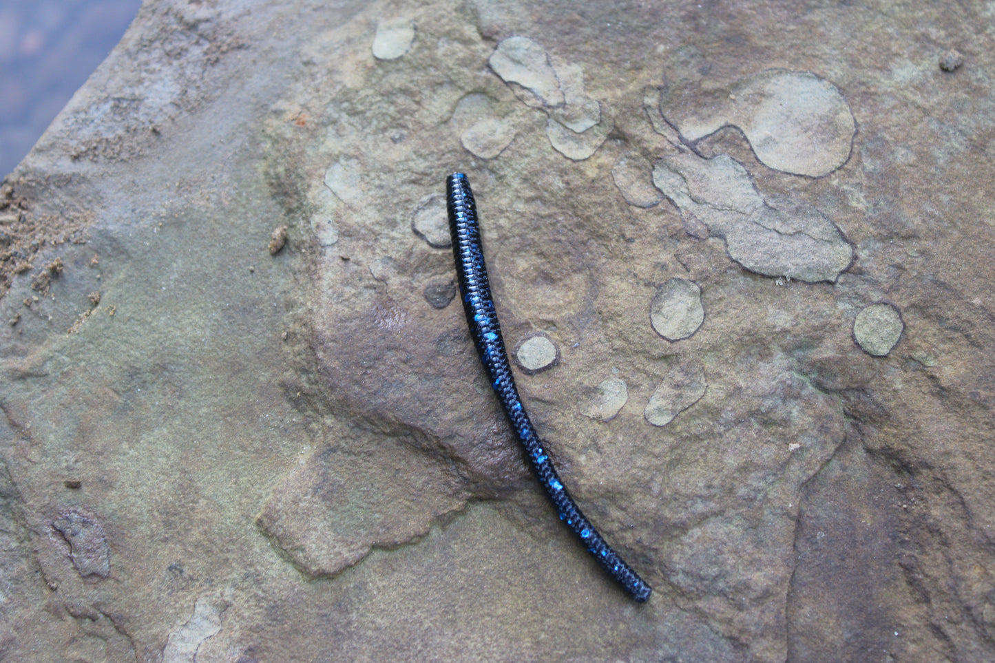 Trout Worm (Pack of 12)