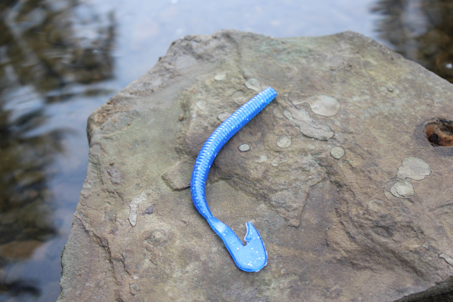 5.75" Assault Worm (Pack of 6)