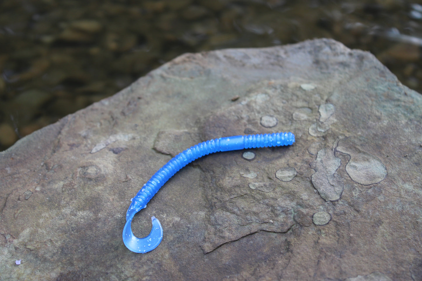 4.5" Curly Tail (Pack of 8)