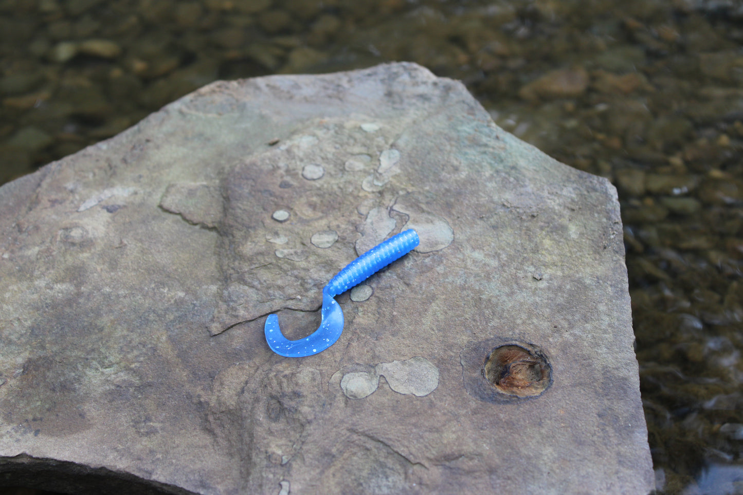 3" Grub (Pack of 10)