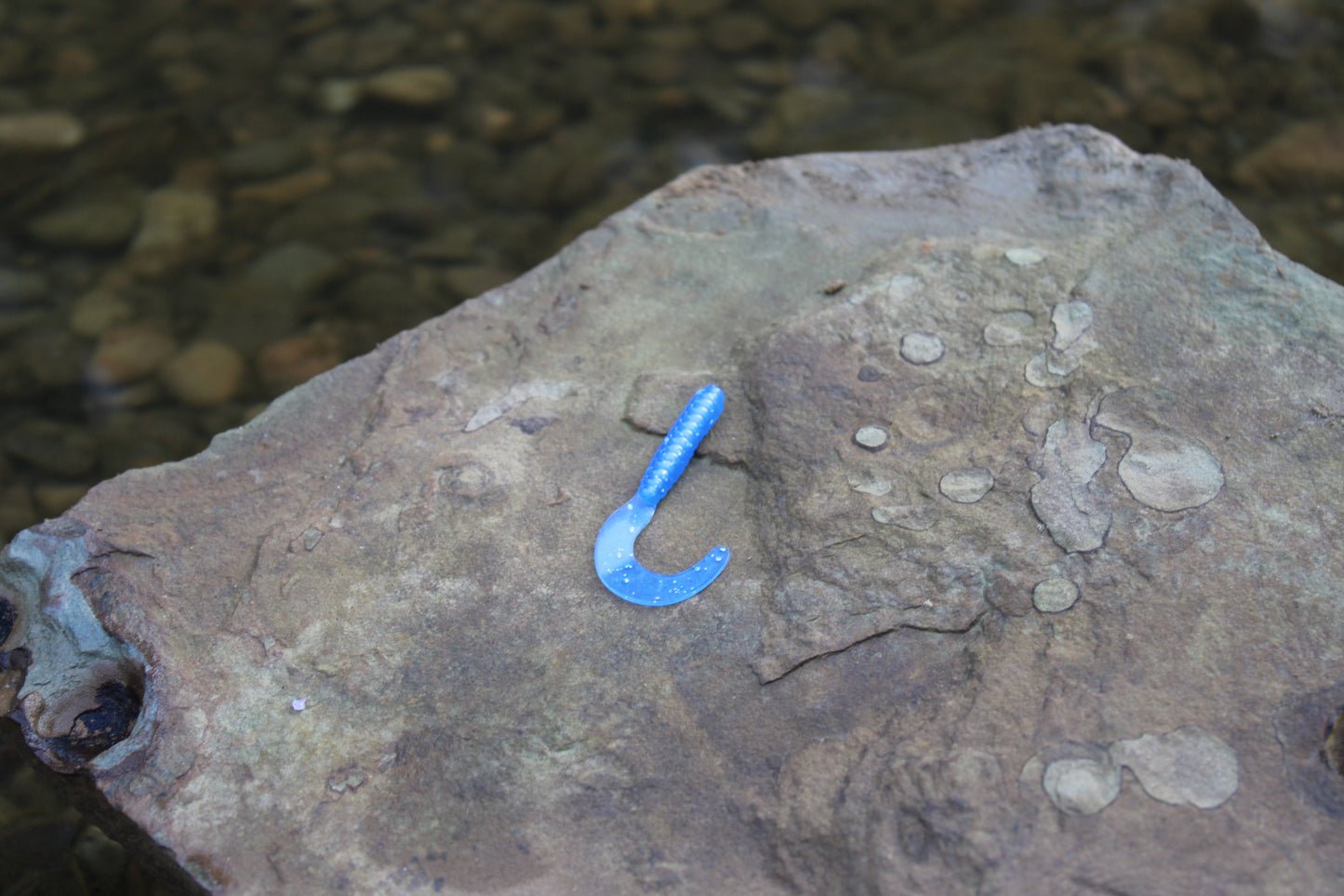 2" Grub (Pack of 10)
