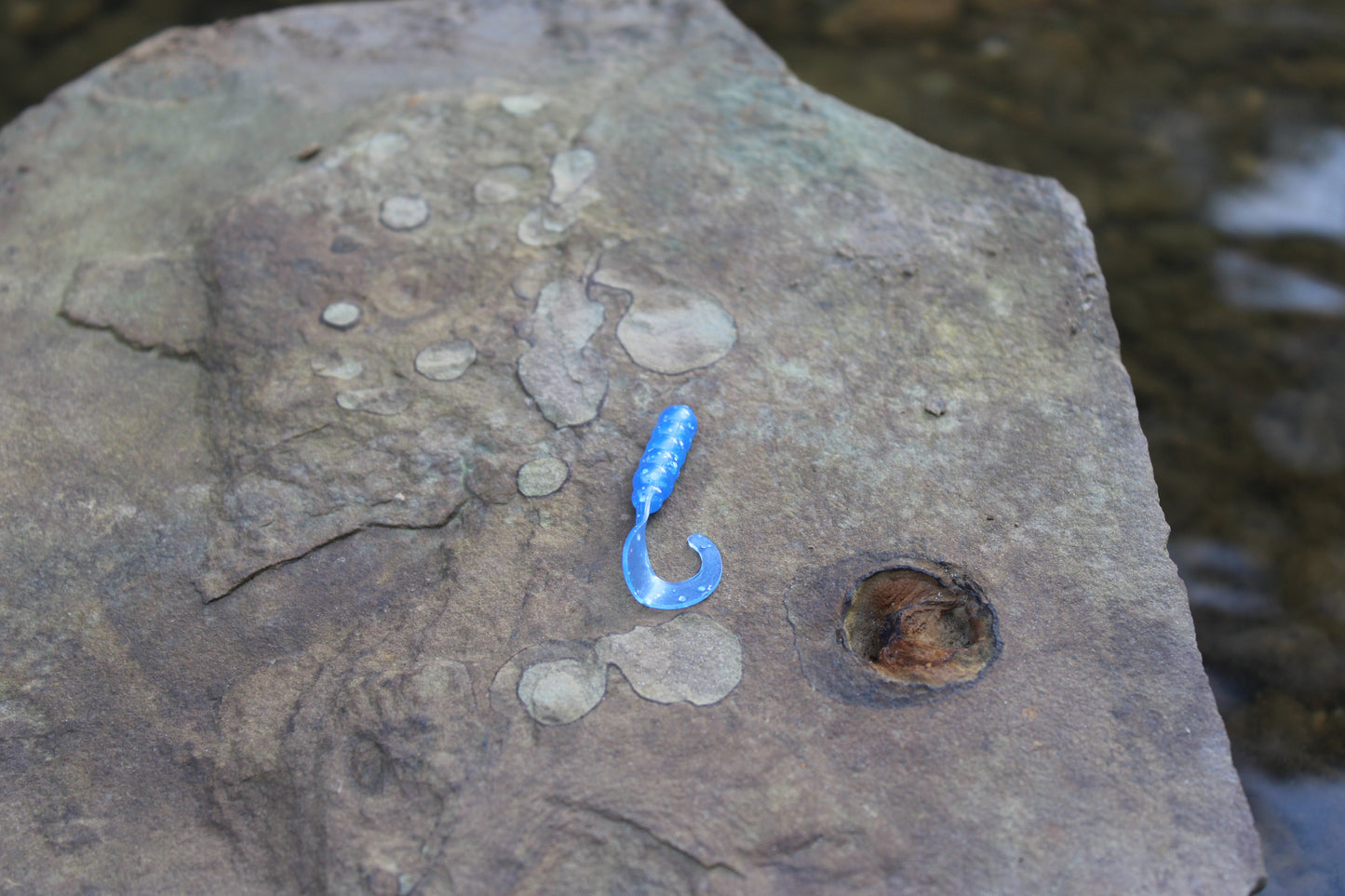 1" Grub (Pack of 10)
