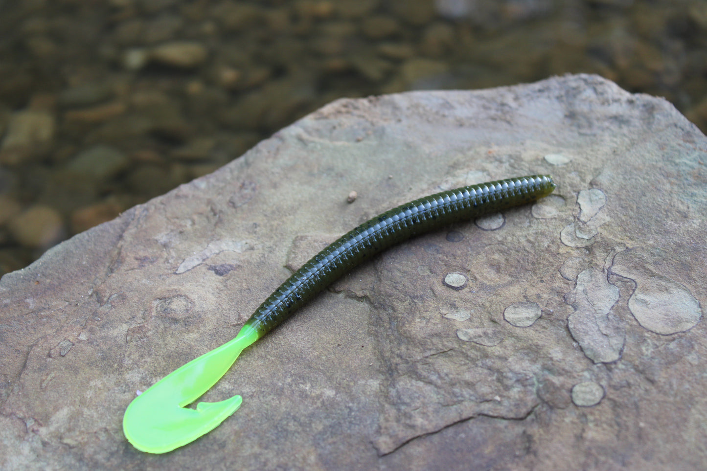 5.75" Assault Worm (Pack of 6)