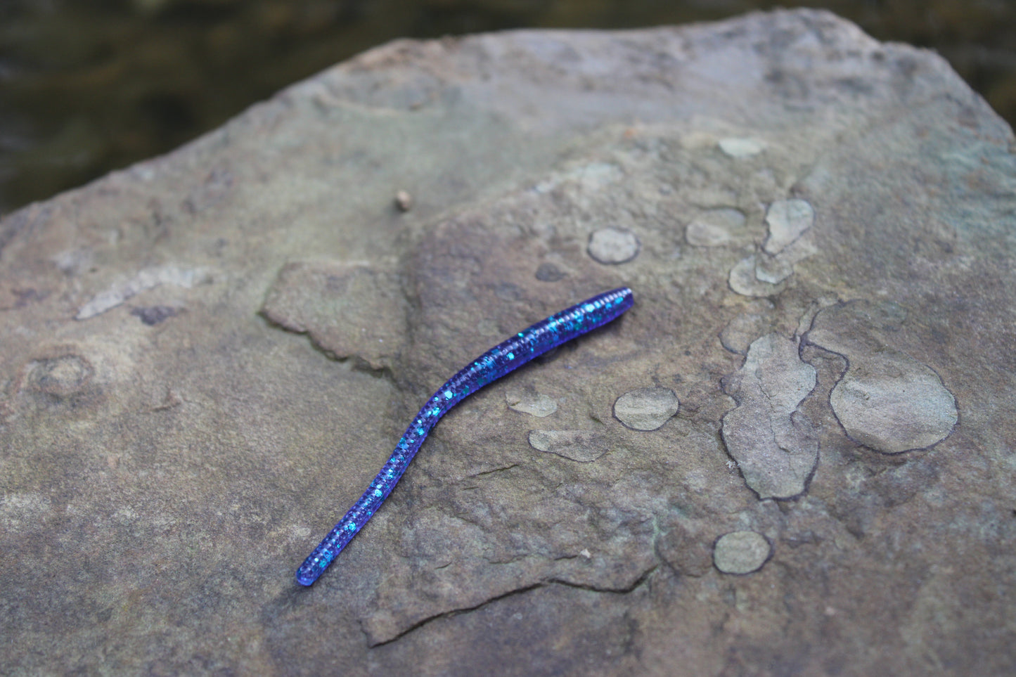 Trout Worm (Pack of 12)
