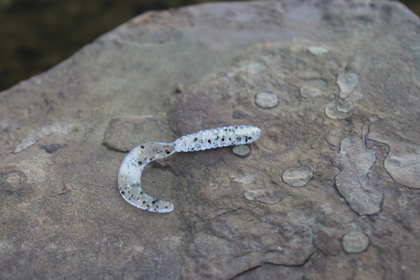 2" Grub (Pack of 10)