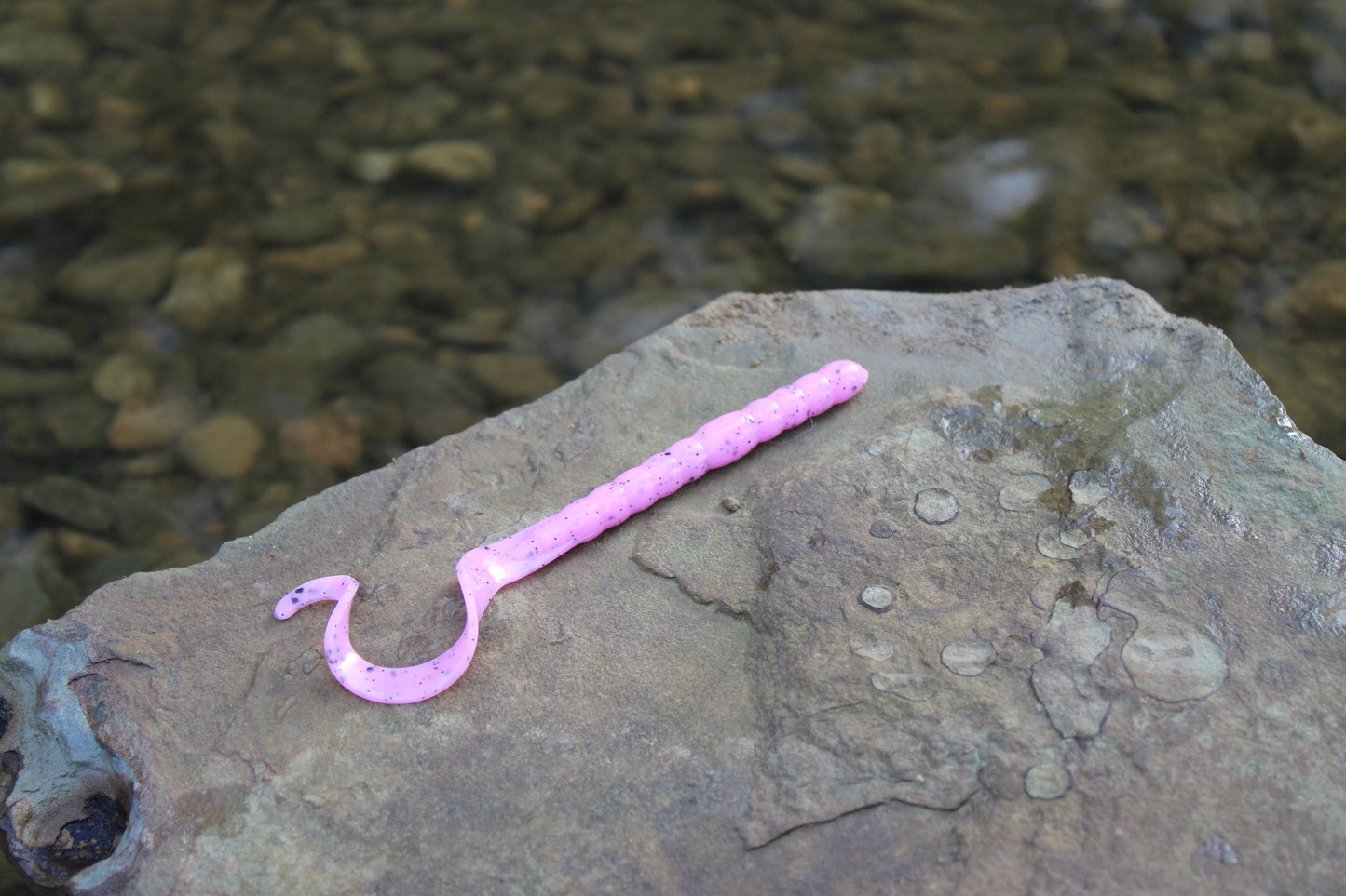 7.5" Legend Worm (Pack of 6)