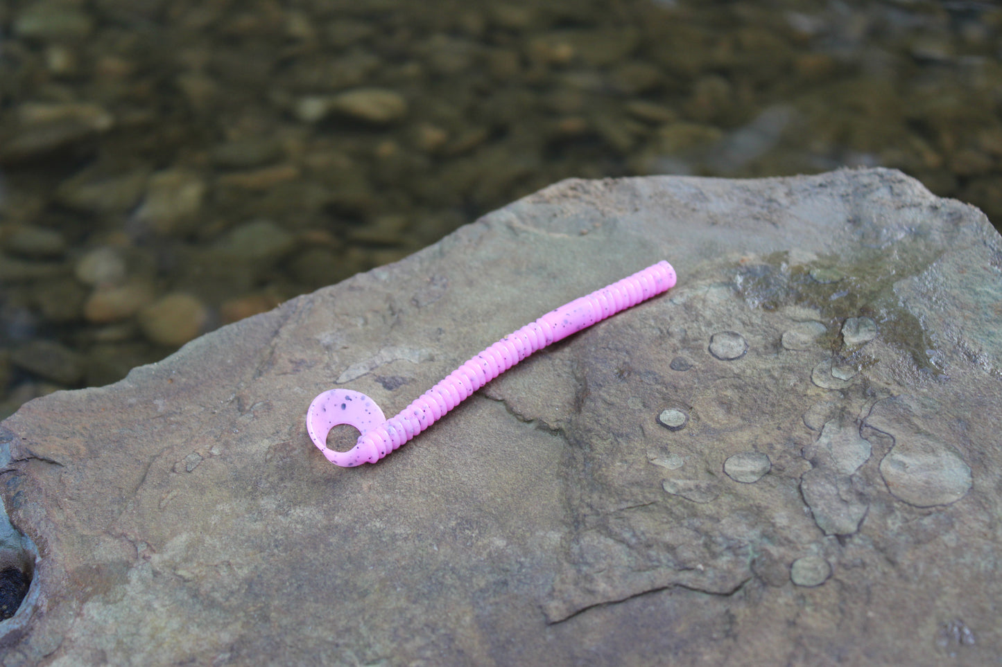 4.5" Curly Tail (Pack of 8)