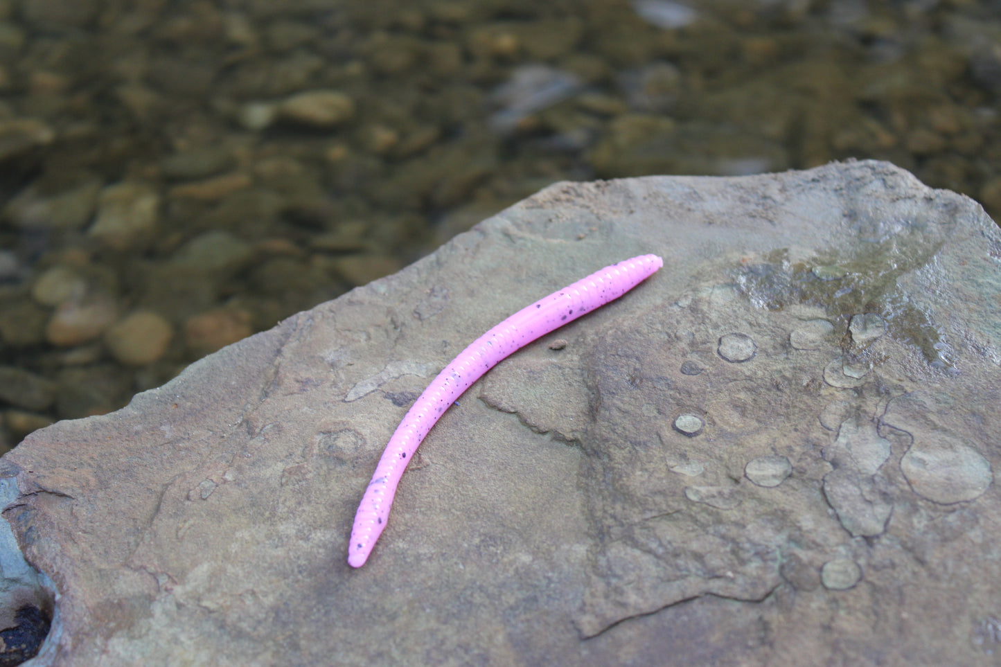4.75" Finesse Worm (Pack of 8)