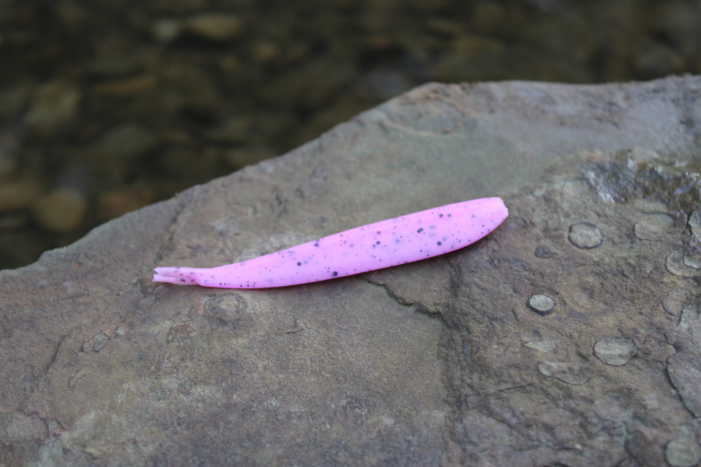 4" Fluke (Pack of 8)