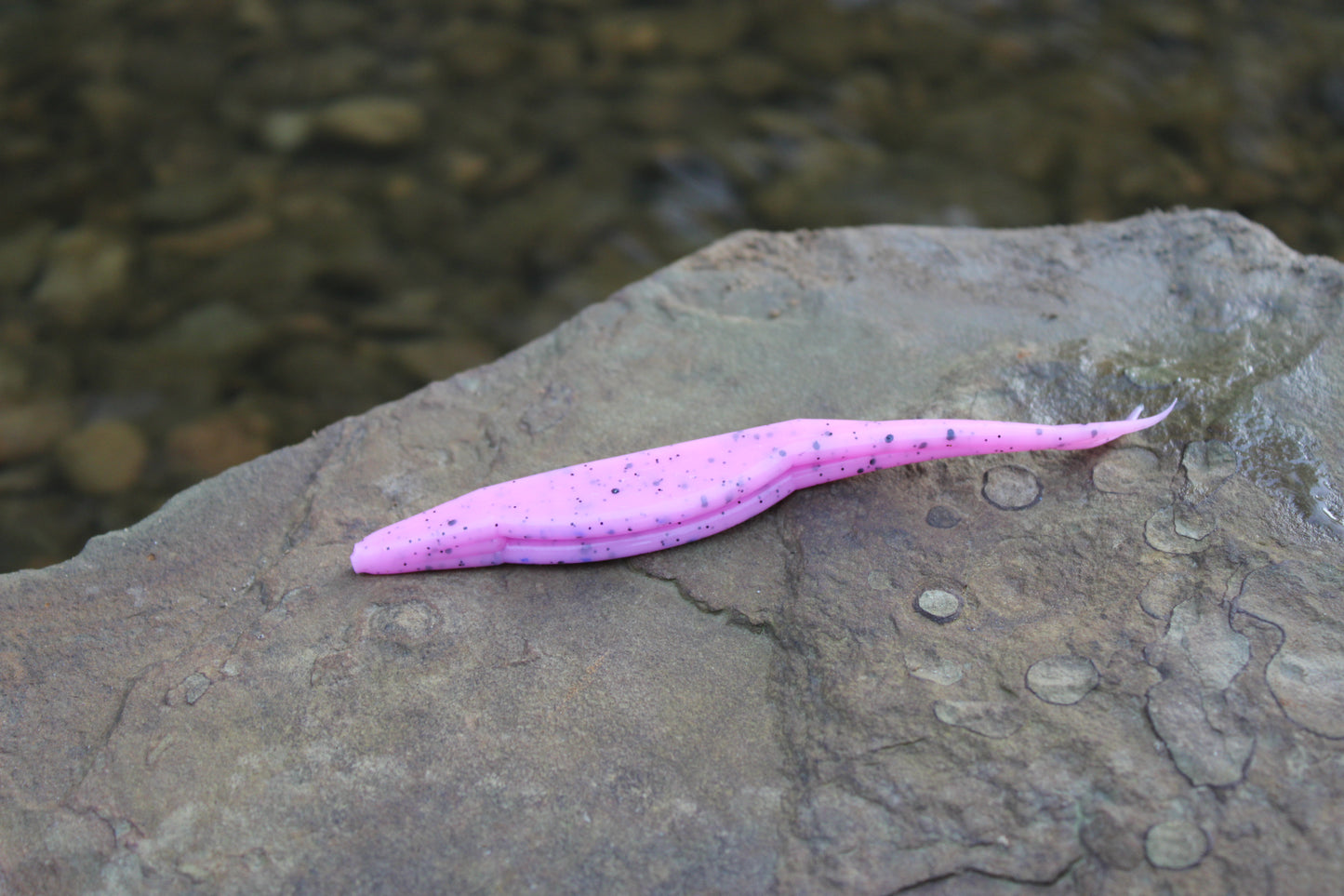 5" Fluke (Pack of 5)