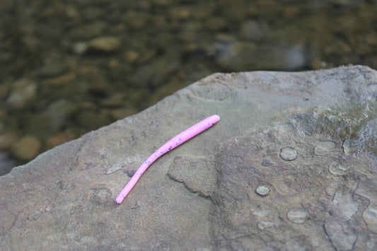 Trout Worm (Pack of 12)