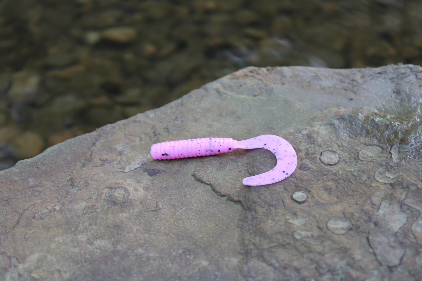 3" Grub (Pack of 10)