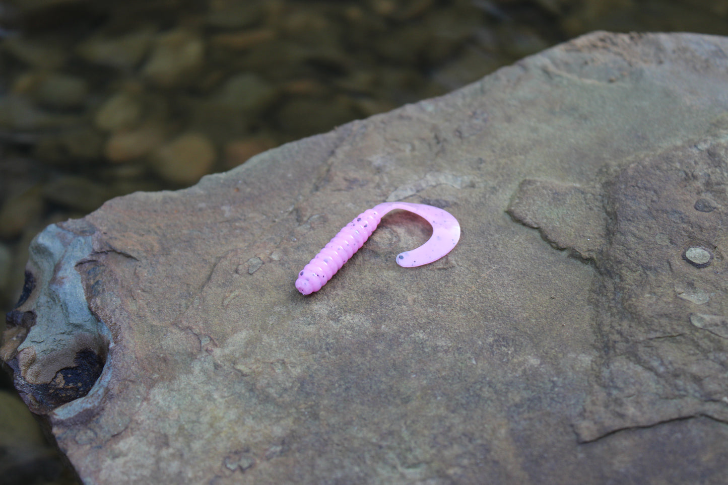 2" Grub (Pack of 10)