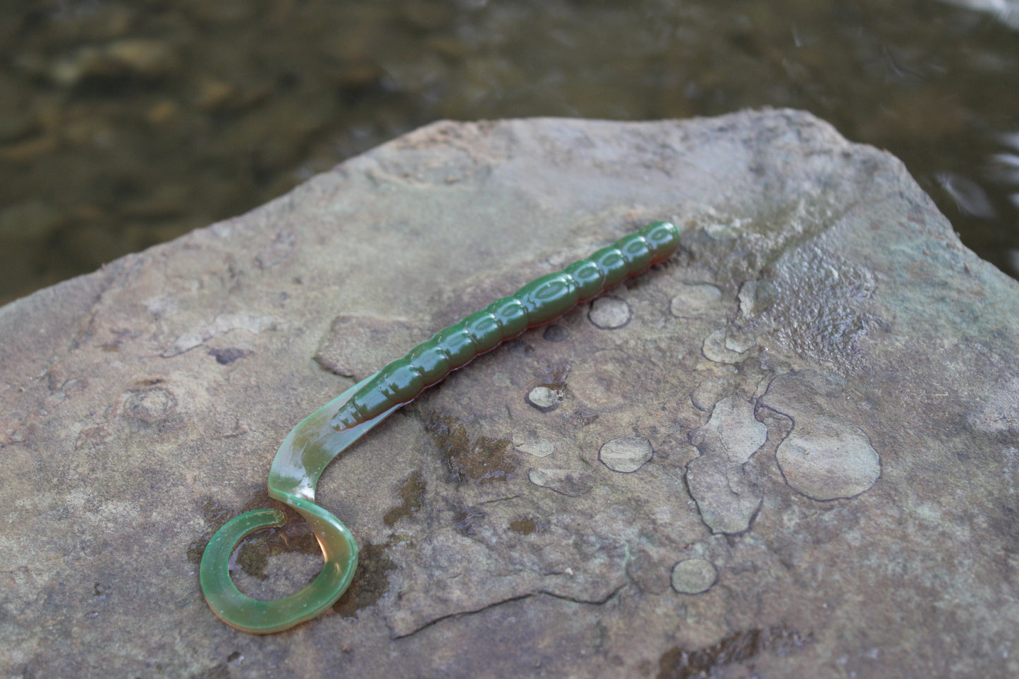 7.5" Legend Worm (Pack of 6)