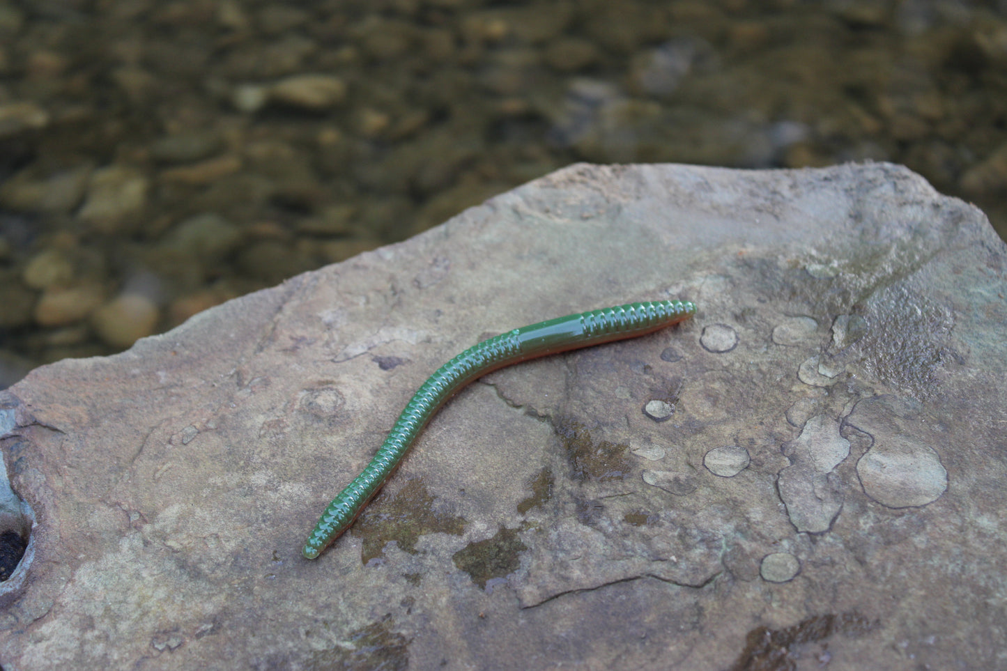 4.75" Finesse Worm (Pack of 8)