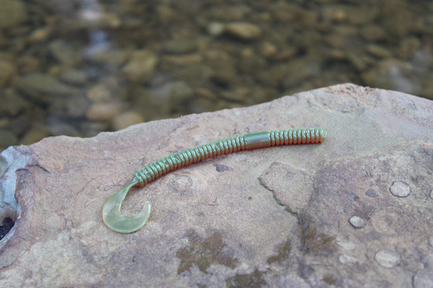 4.5" Curly Tail (Pack of 8)